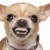 Profile picture of Skydog